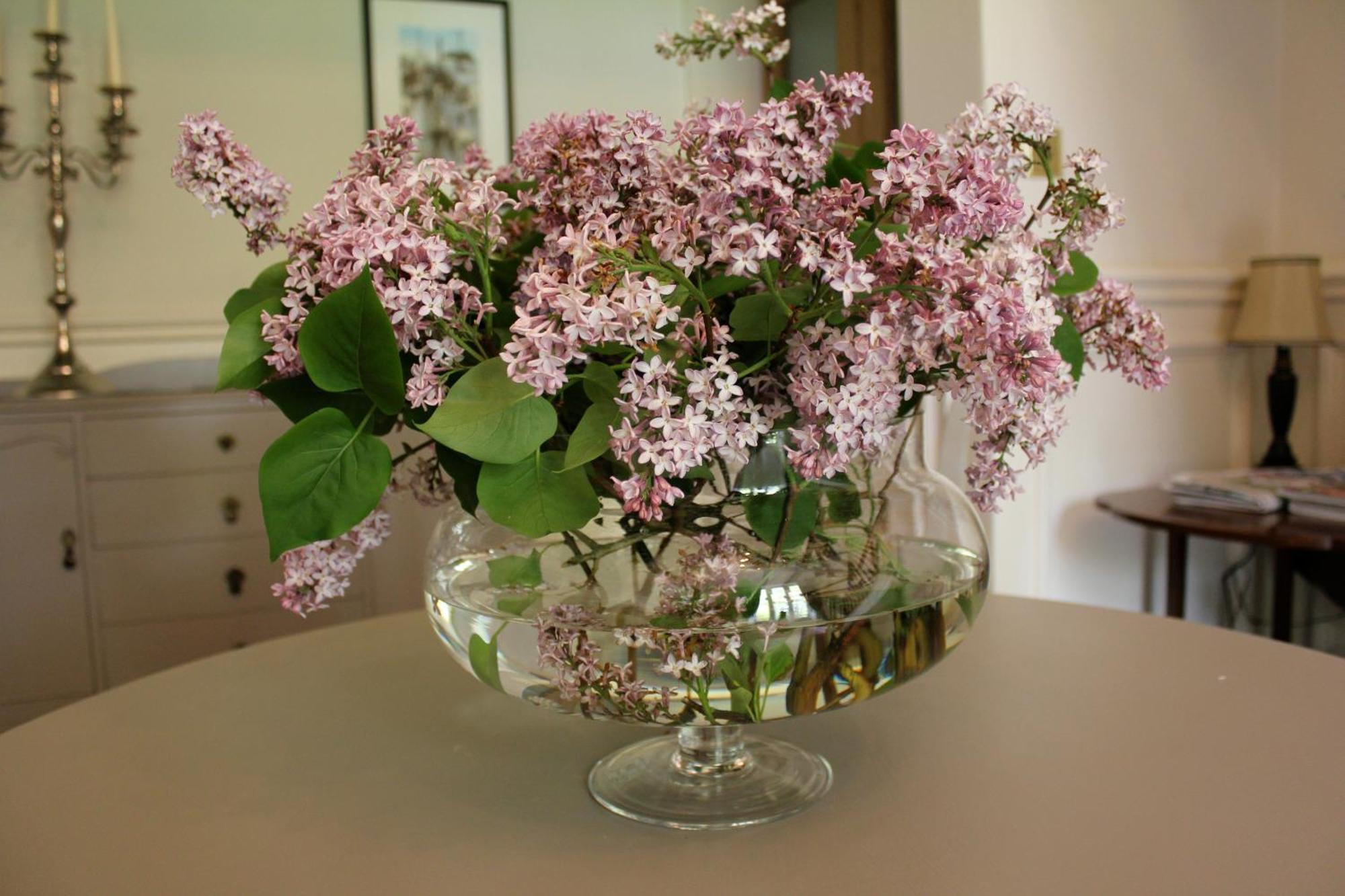 Hazel Manor Guest House Харогейт Екстериор снимка